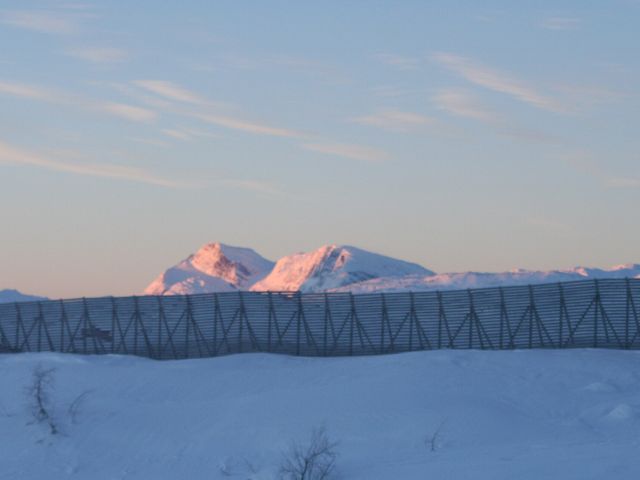 Bjørnfjell