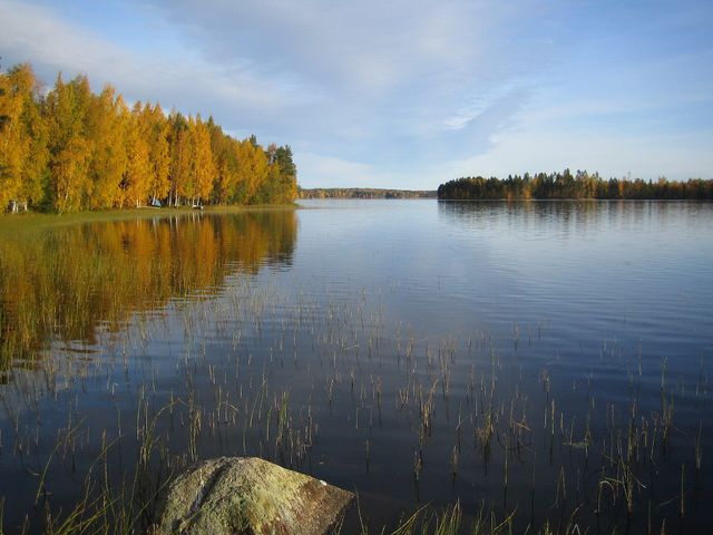Кейтеле