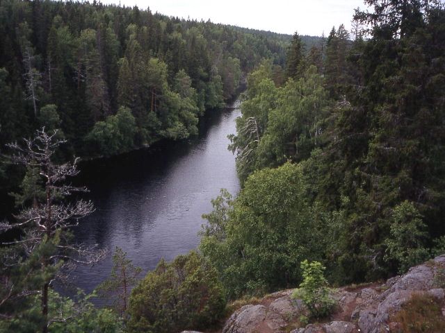 Хелветинярви