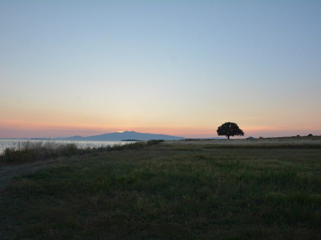 Гриней