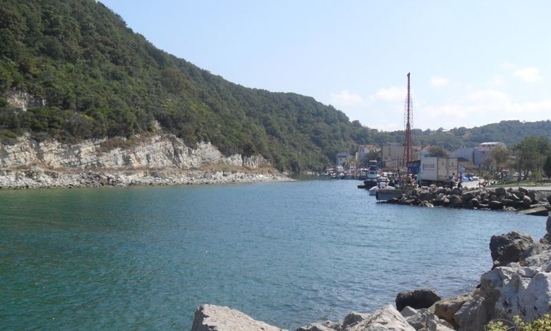 Ağva Merkez
