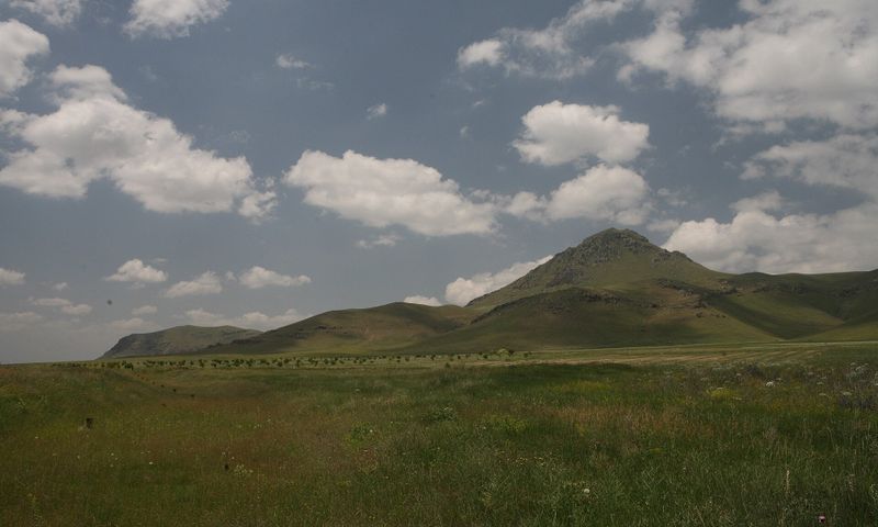 Артени