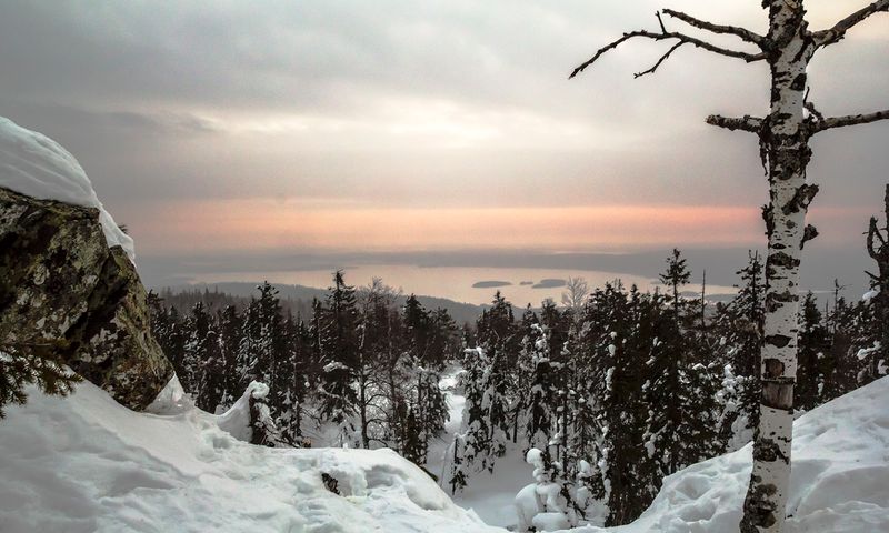Белая