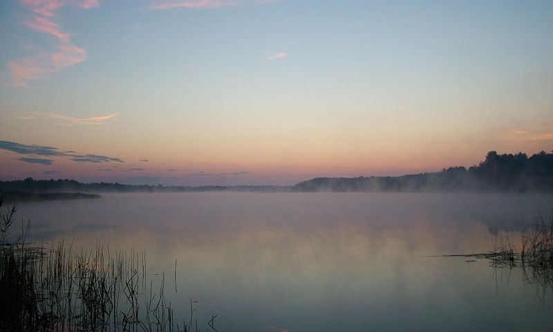 Рытое