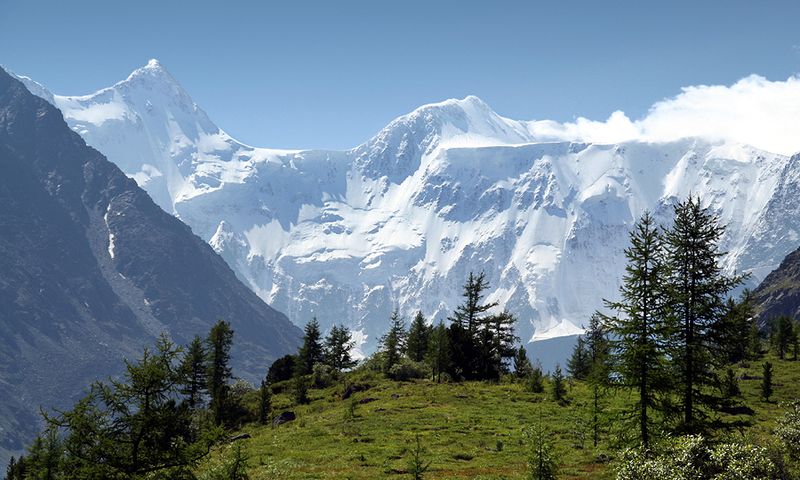 Белуха