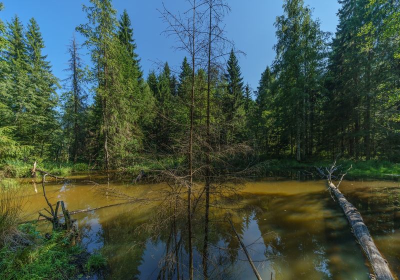 Валдайский национальный парк